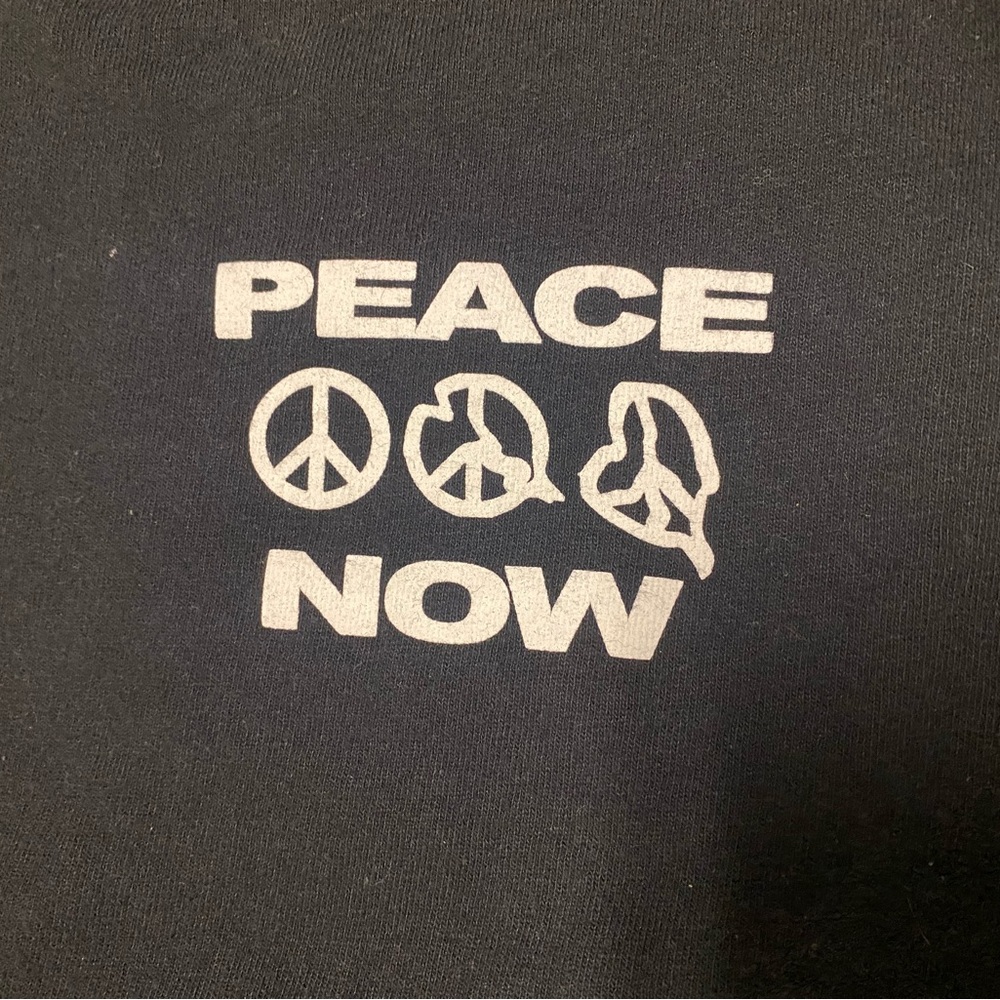 PacSun Men’s Graphic T-Shirt Peace Now Size Medium - Picture 2 of 8